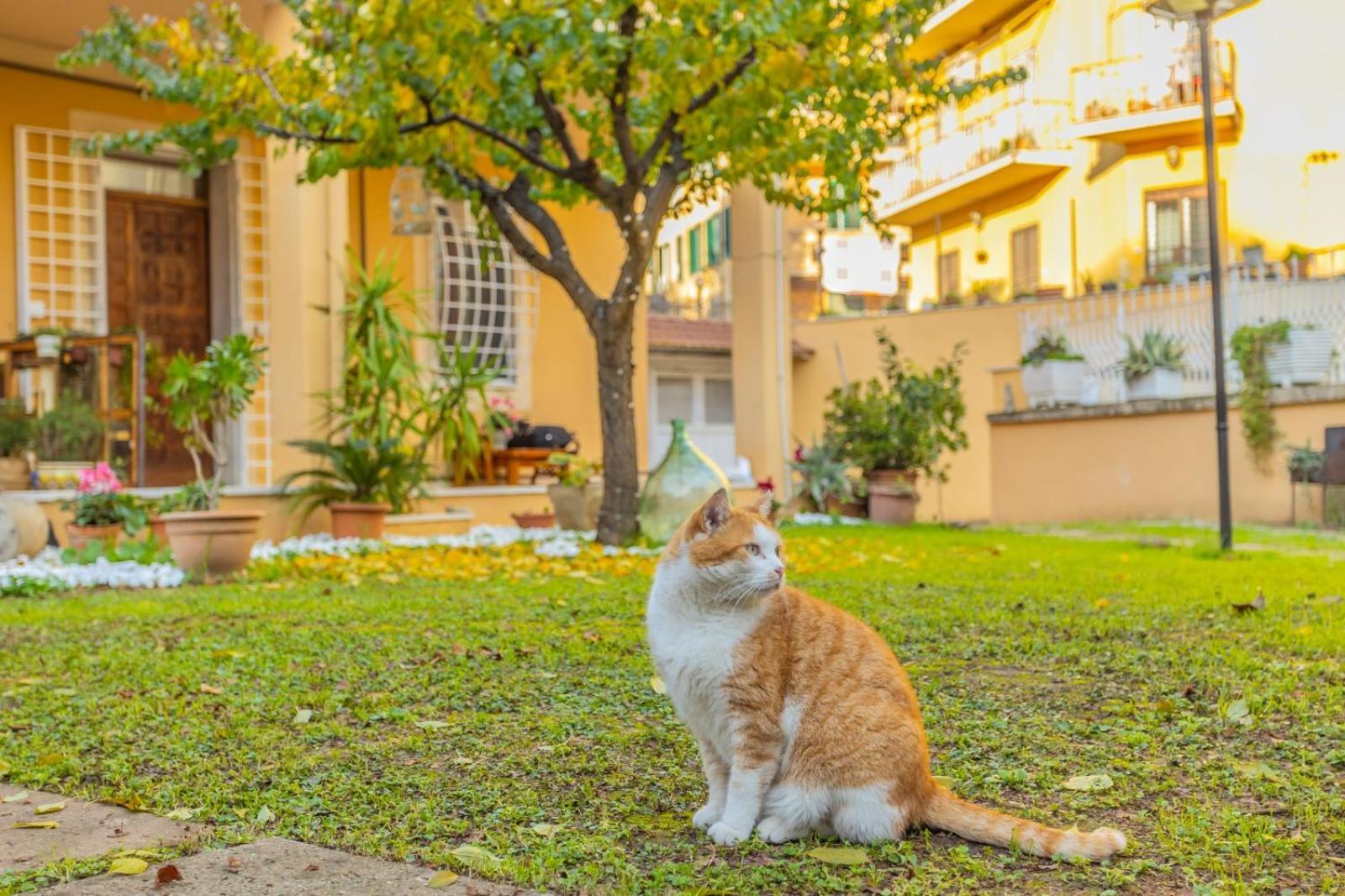 Villa Gatta روما المظهر الخارجي الصورة